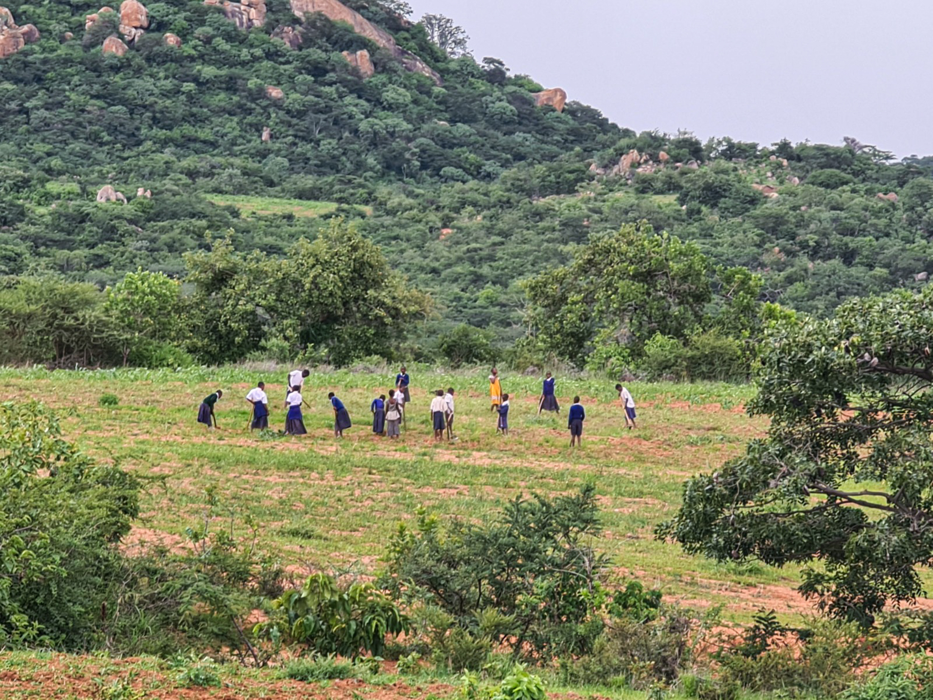 Liceul „Dimitrios” din Magubike – locul unde școala începe cu o sapă