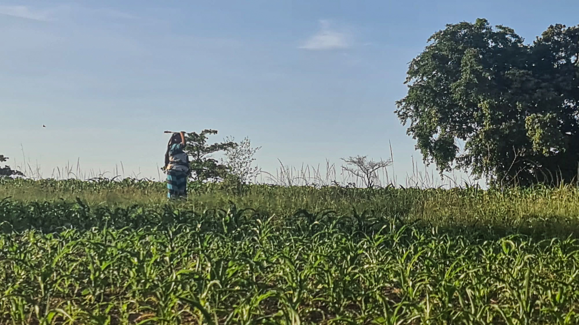 Liceul „Dimitrios” din Magubike – locul unde școala începe cu o sapă