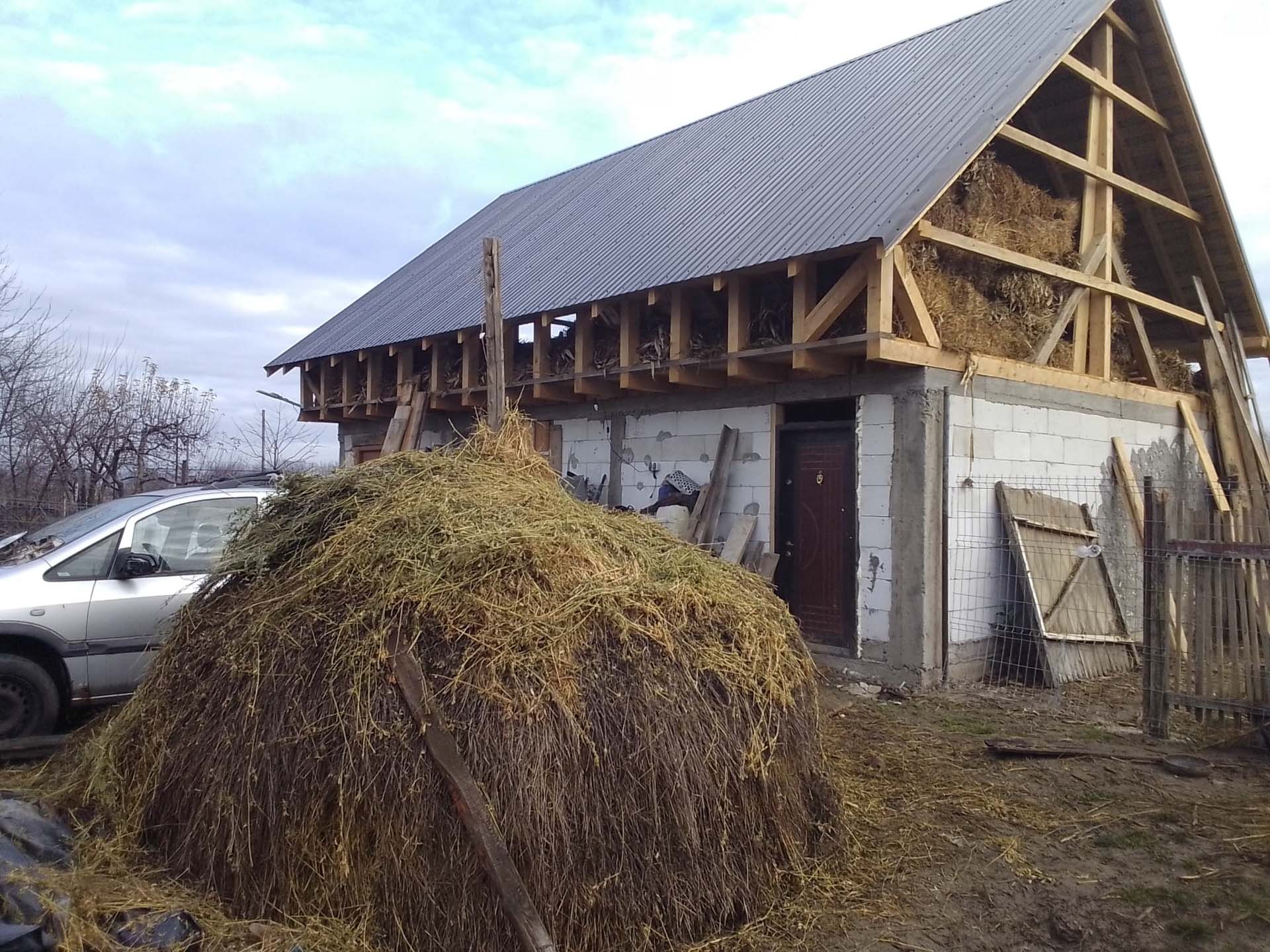 Un început de an cu bucurie pentru o familie cu zece copii din județul Neamț