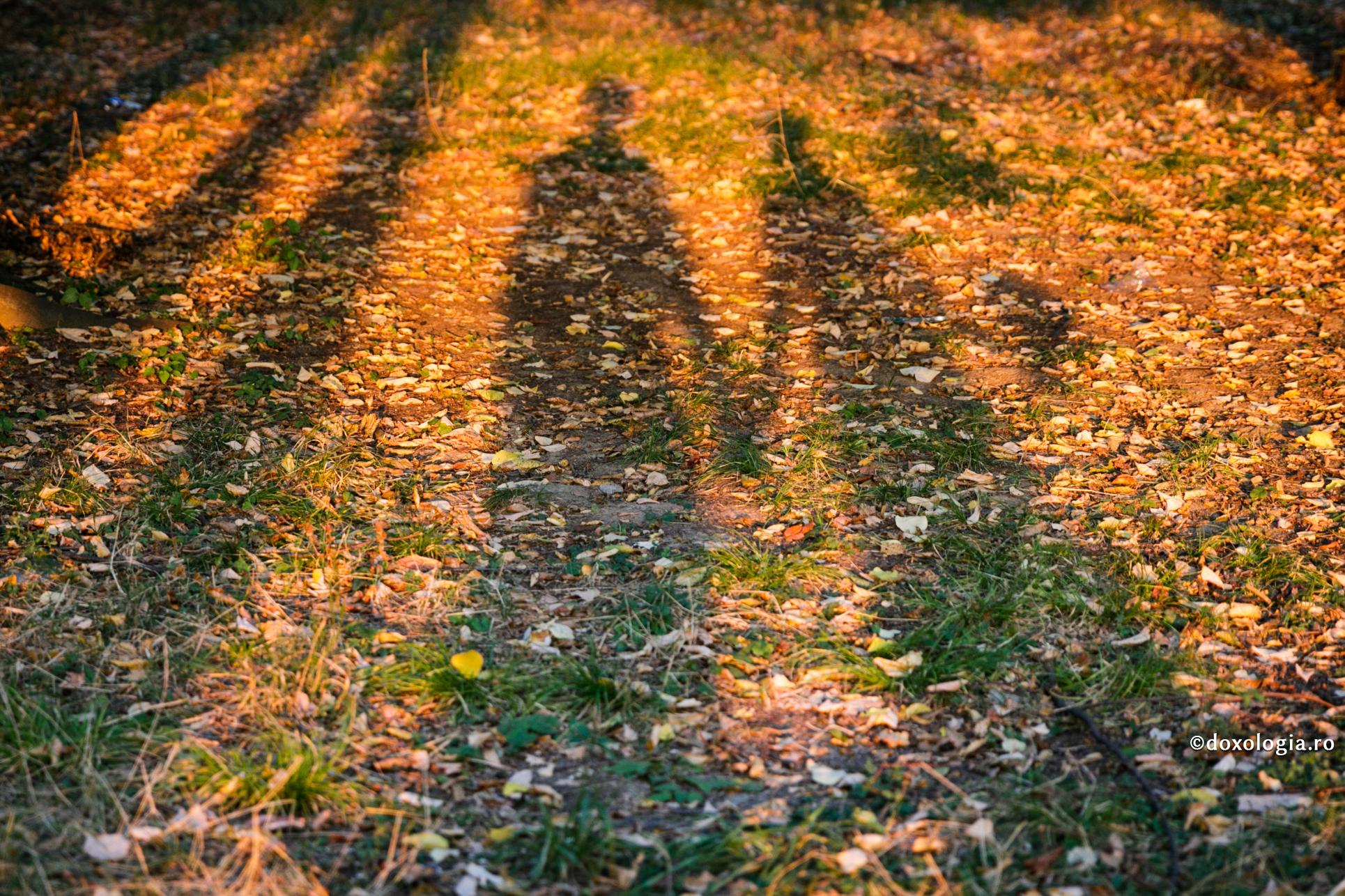 Începutul familiei creștine