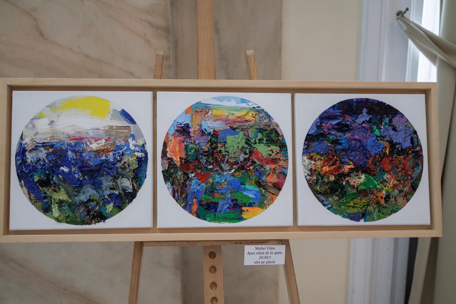 expoziția „Anatomia Luminii” Primăria Iași