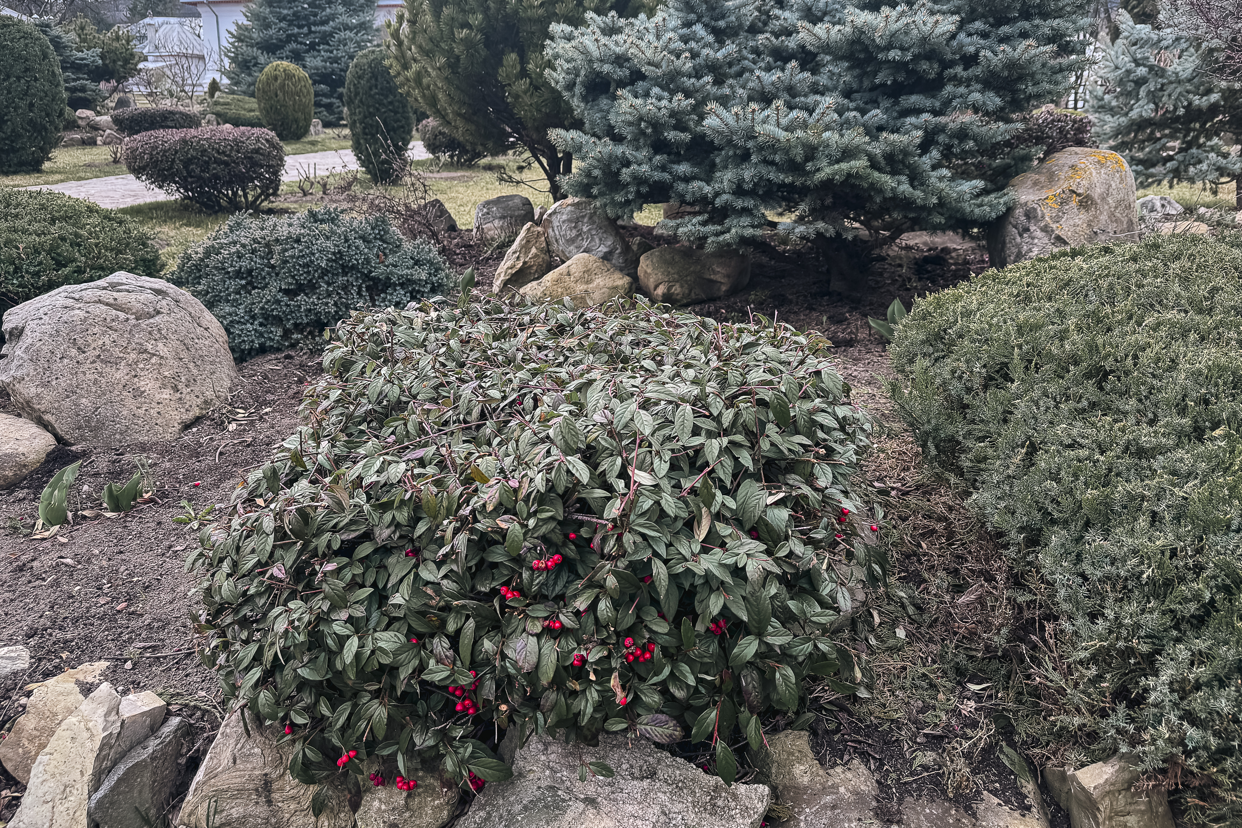 Maica Fotinia și lecția florilor de la Văratec – „Oamenii au țepi mai greu de rupt”