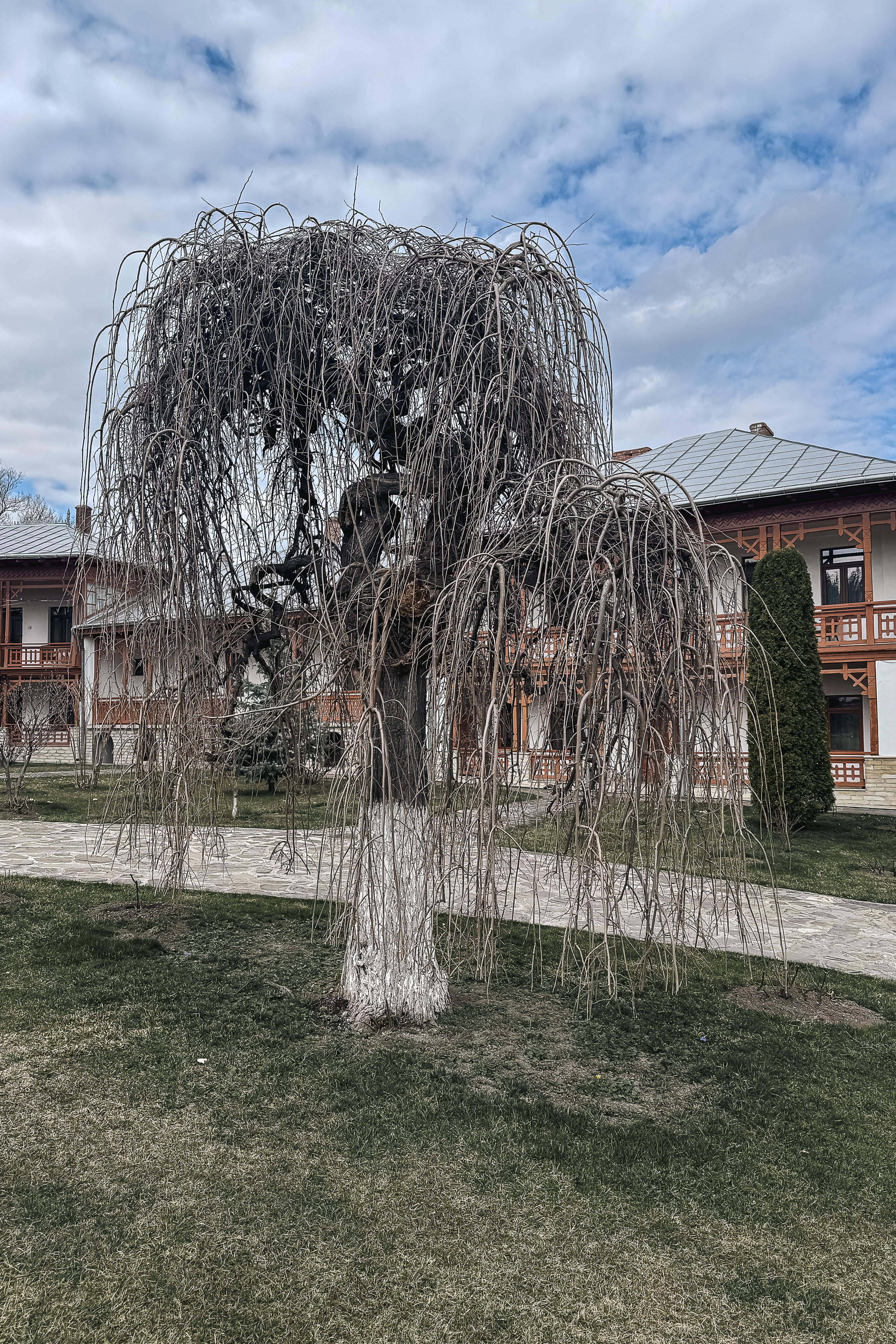 Maica Fotinia și lecția florilor de la Văratec – „Oamenii au țepi mai greu de rupt”