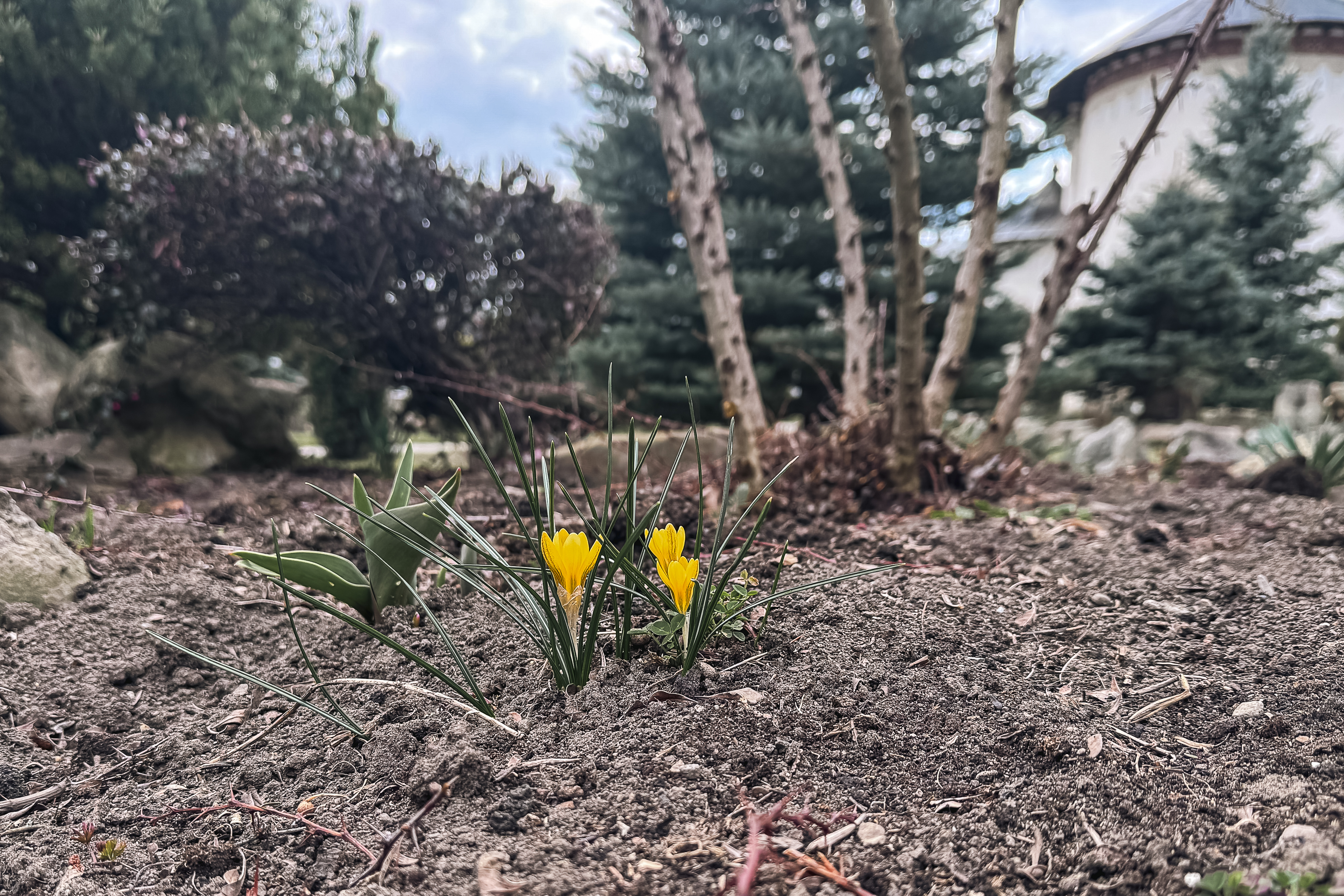 Maica Fotinia și lecția florilor de la Văratec – „Oamenii au țepi mai greu de rupt”