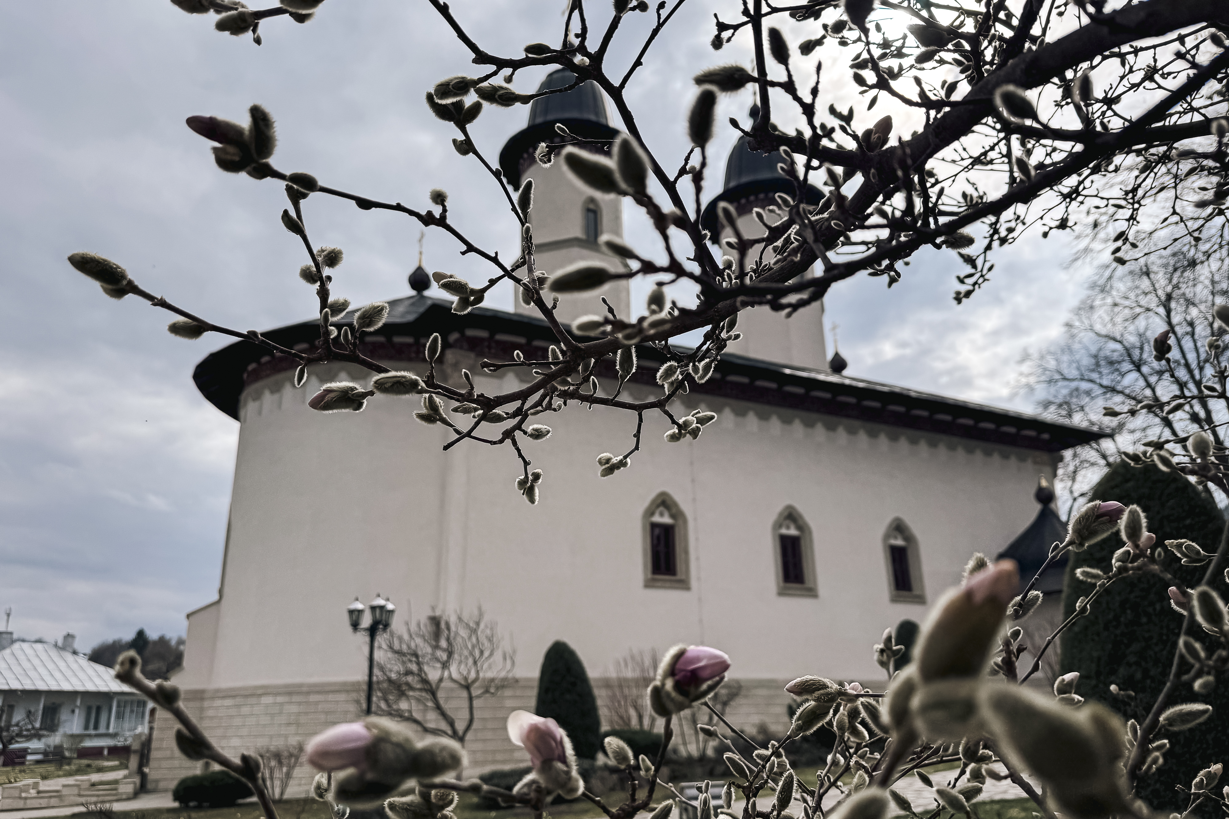 Maica Fotinia și lecția florilor de la Văratec – „Oamenii au țepi mai greu de rupt”