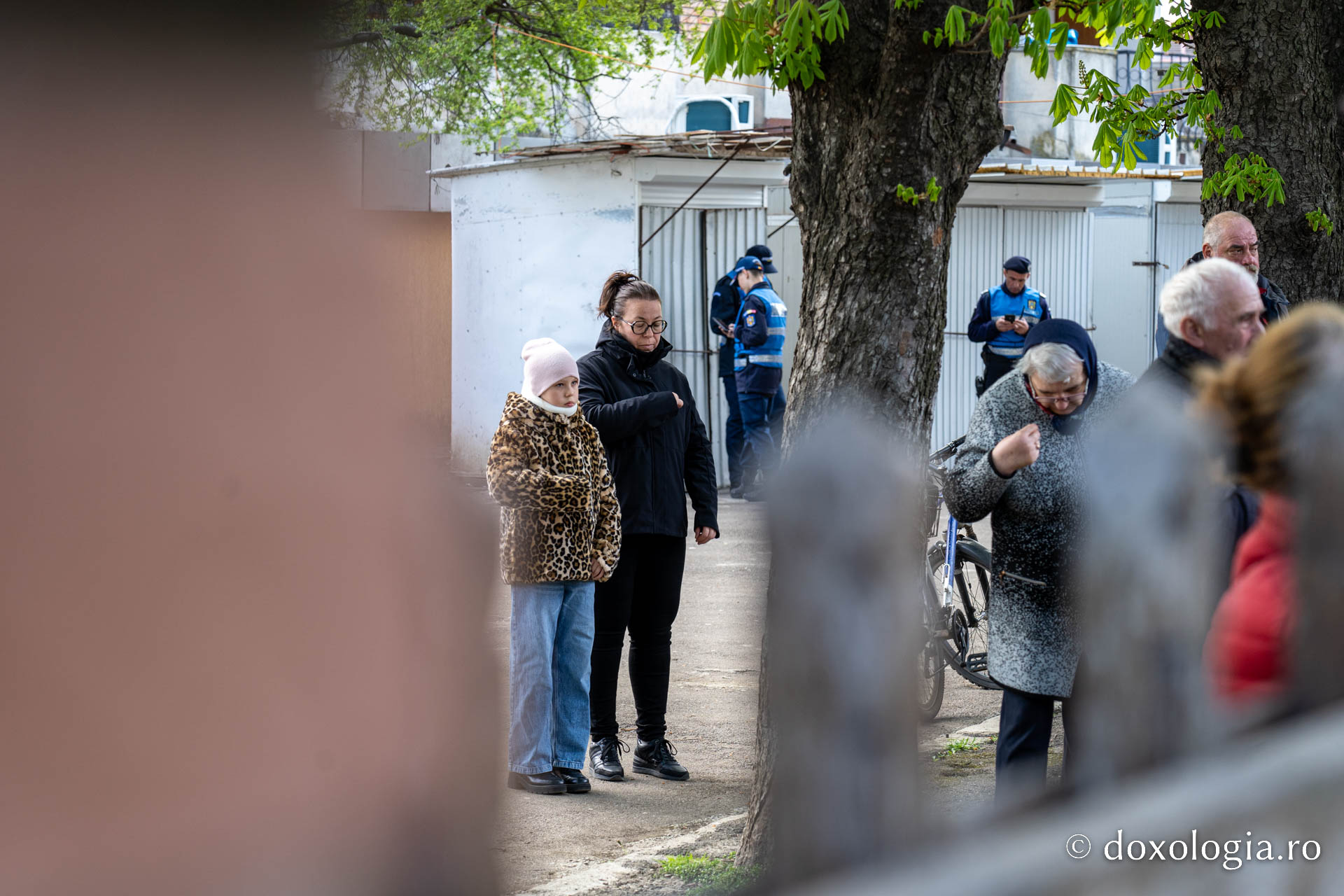 Sfânta Cuvios Cleopa de la Sihăstria, purtat în procesiune pe străzile din Botoșani, cu prilejul hramului orașului