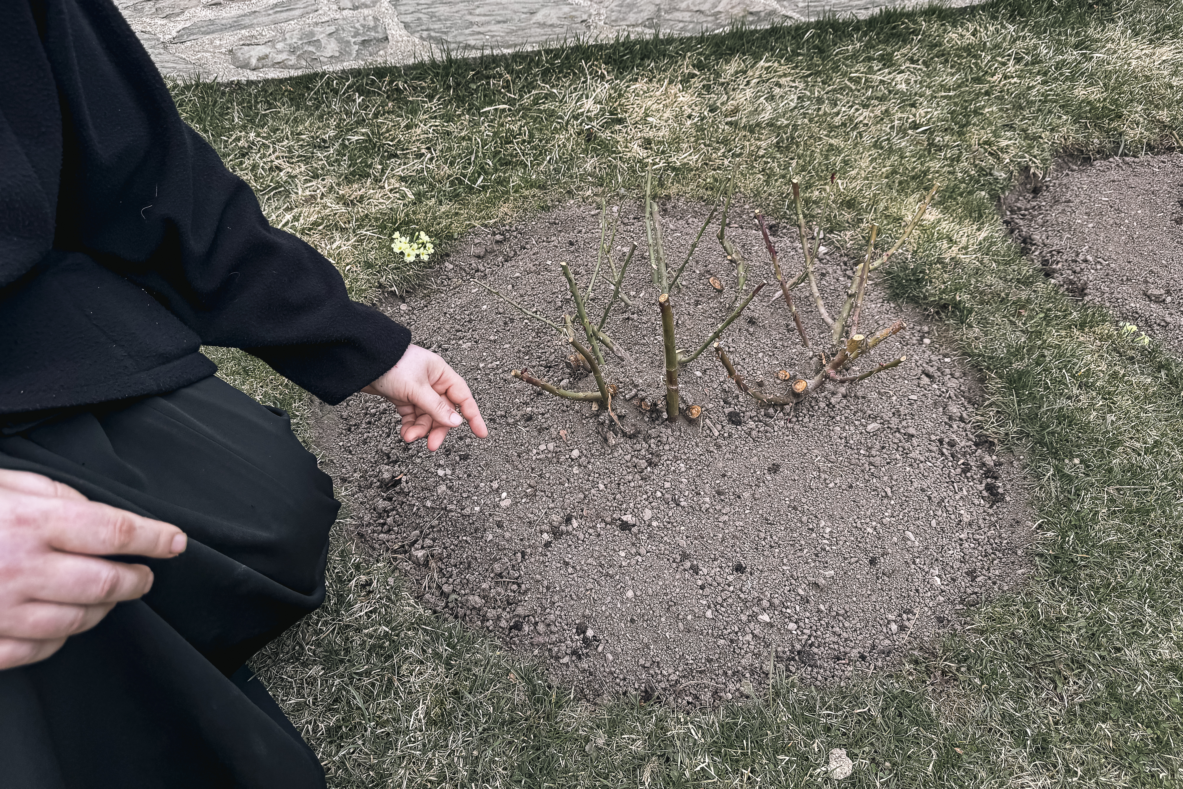 Maica Fotinia și lecția florilor de la Văratec – „Oamenii au țepi mai greu de rupt”