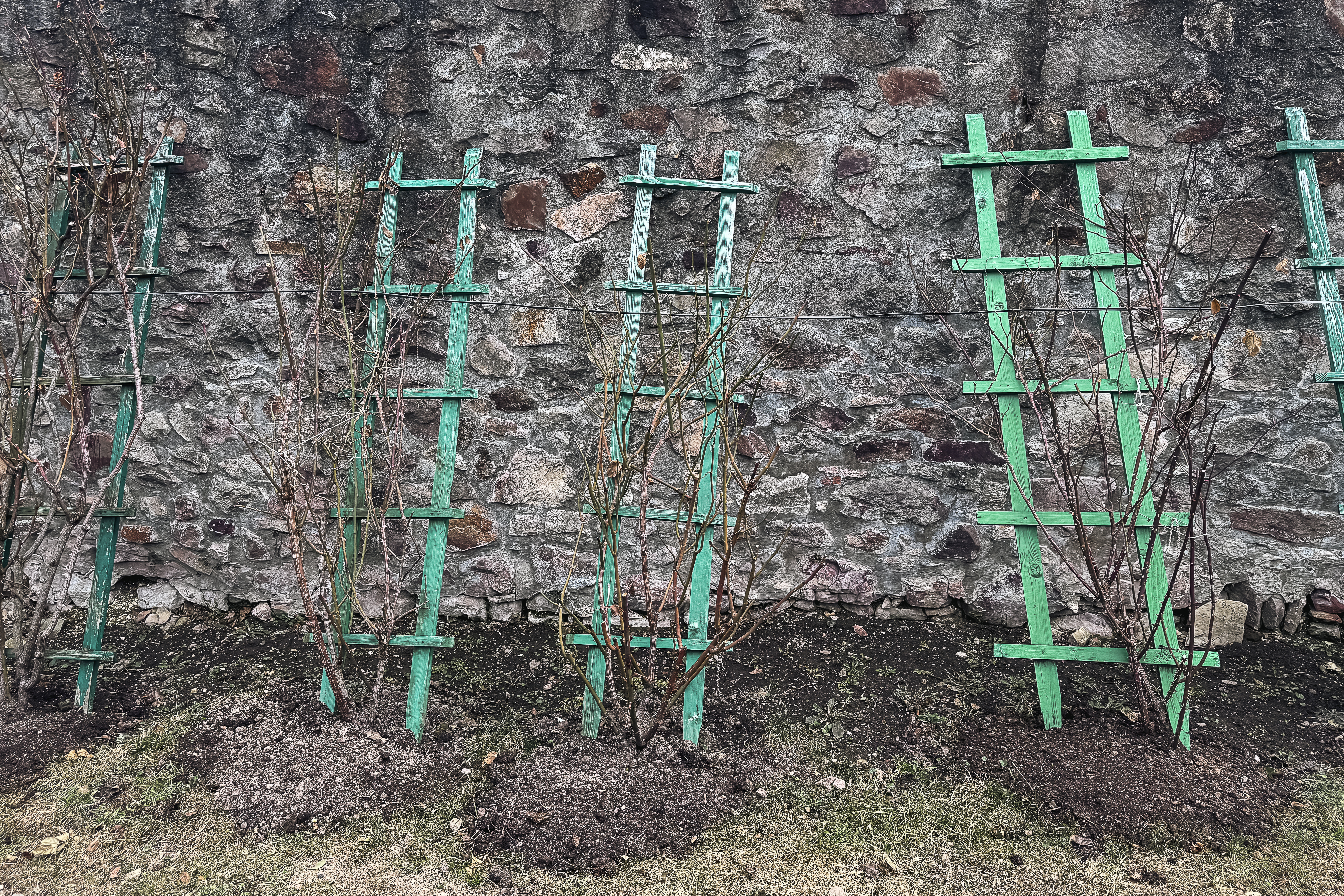 Maica Fotinia și lecția florilor de la Văratec – „Oamenii au țepi mai greu de rupt”