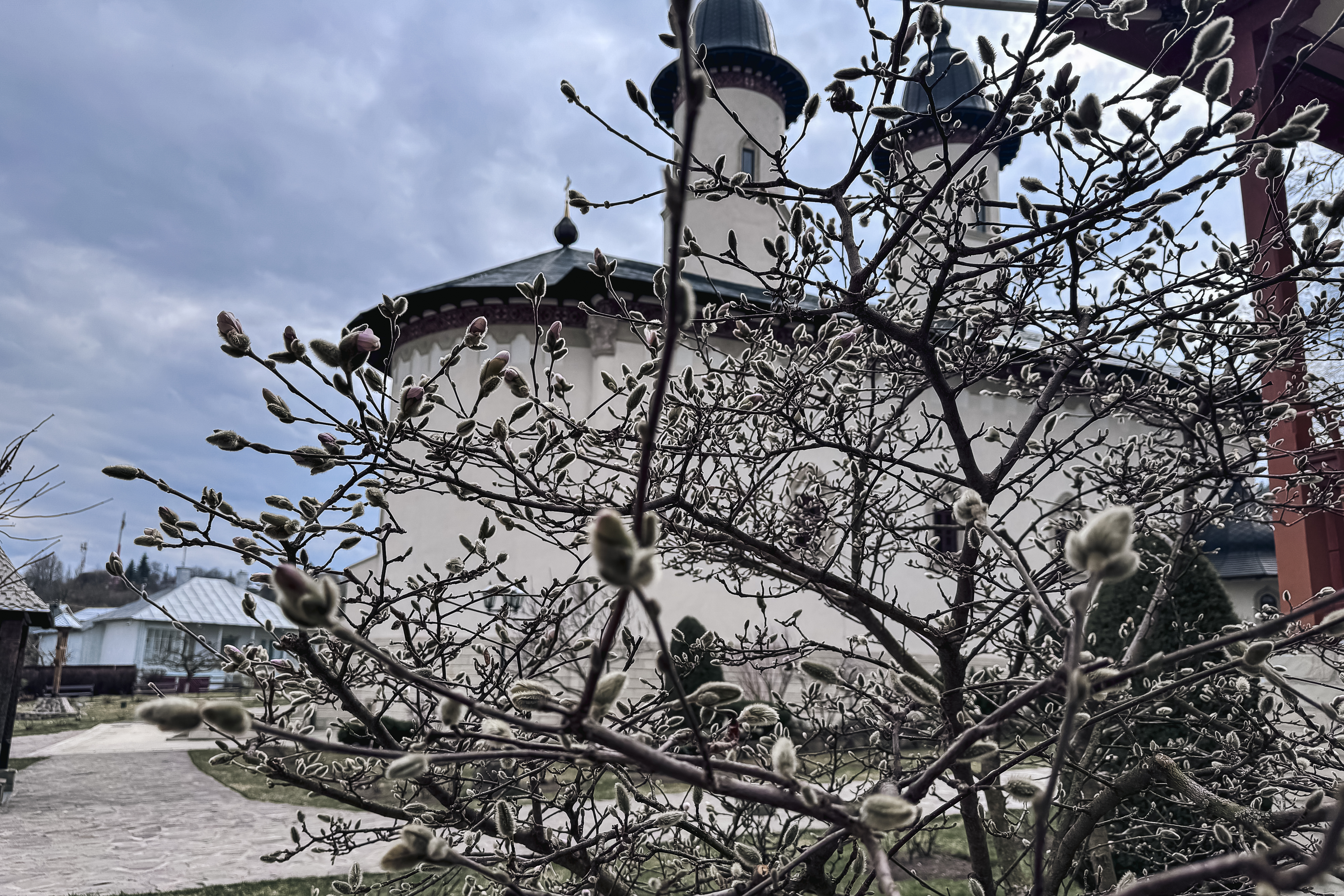 Maica Fotinia și lecția florilor de la Văratec – „Oamenii au țepi mai greu de rupt”