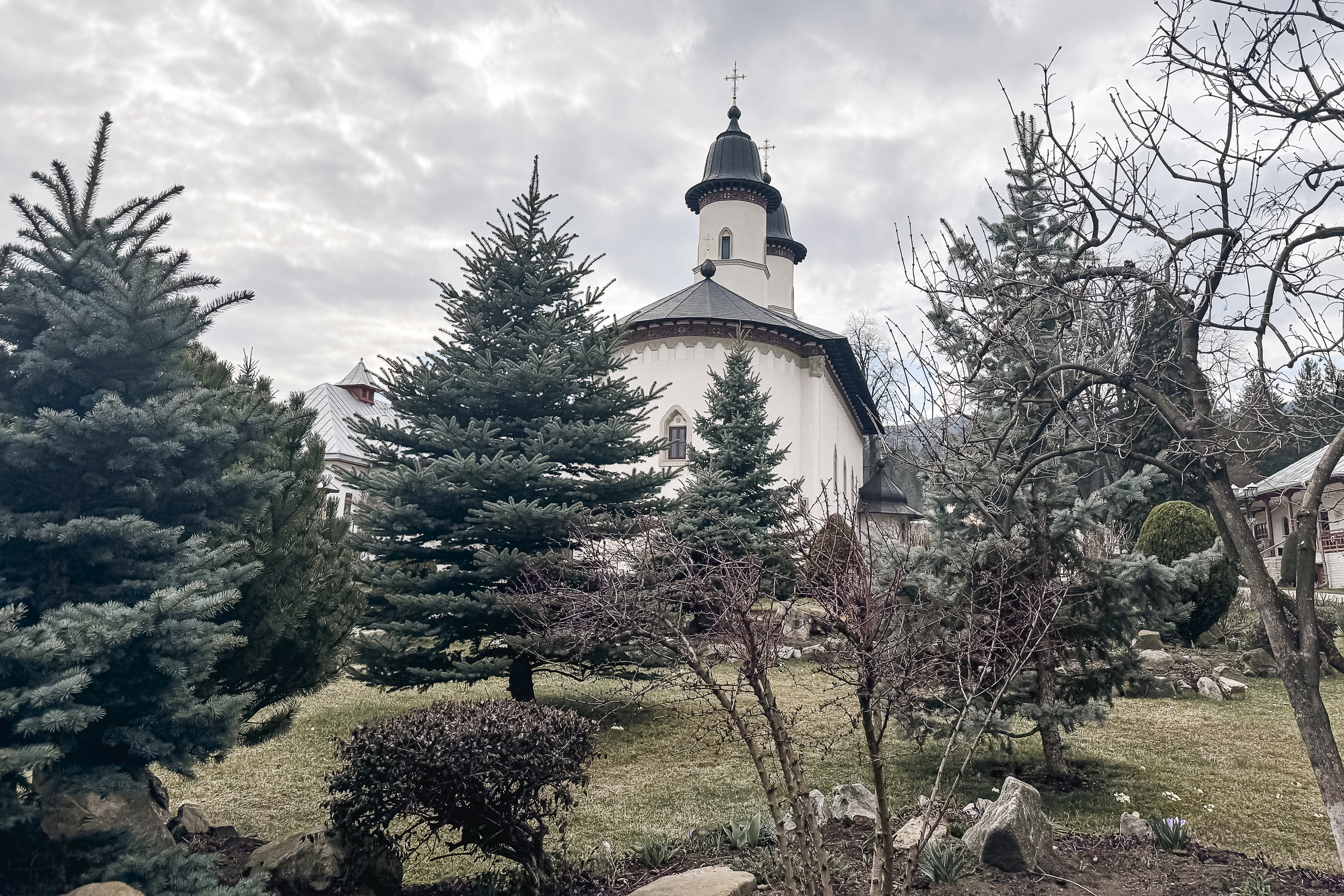 Maica Fotinia și lecția florilor de la Văratec – „Oamenii au țepi mai greu de rupt”