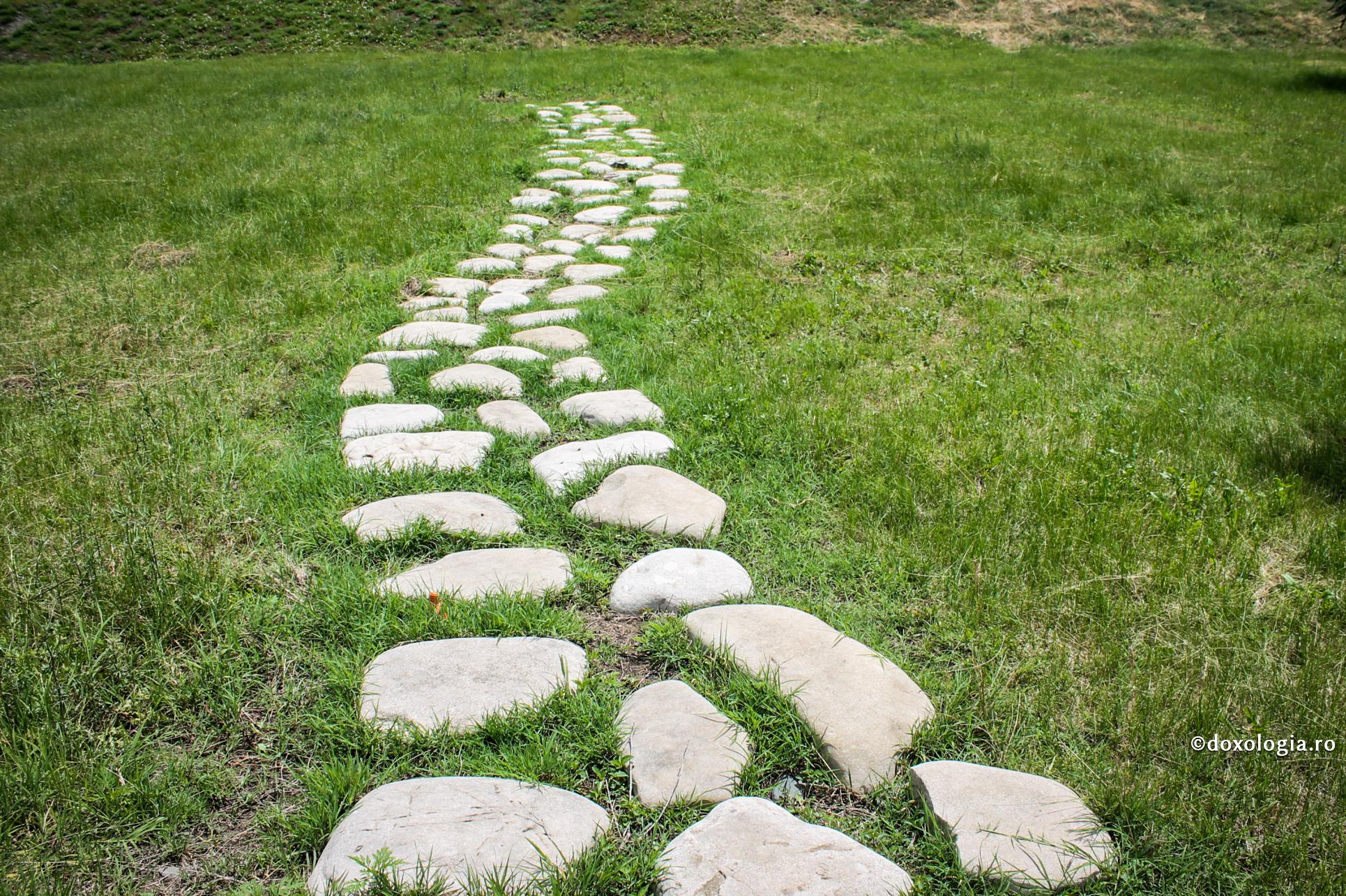 cărare în natură