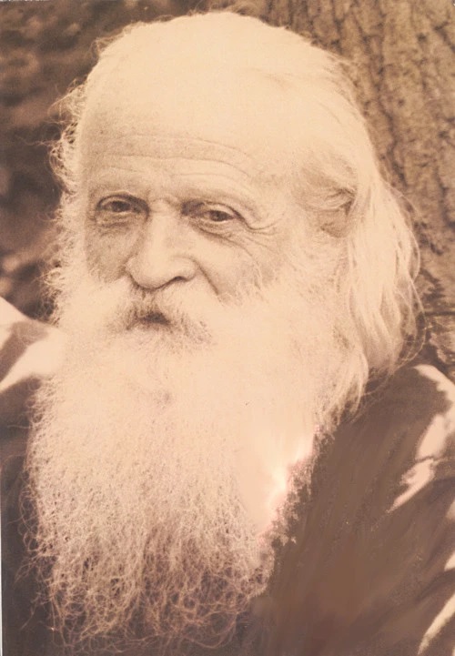 Părintele Serghie Șevici