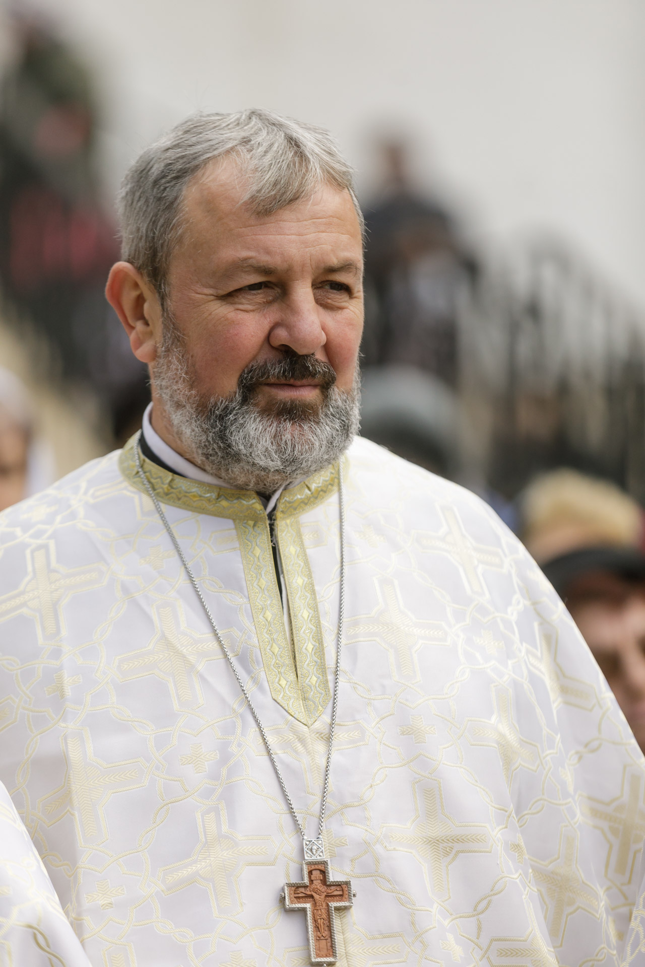 Pr. Lect. Univ. Dr. Daniel Niţă-Danielescu