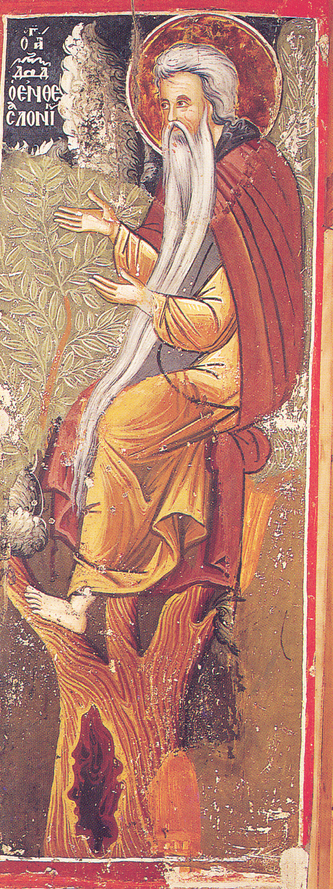 Sfântul Cuvios David din Tesalonic