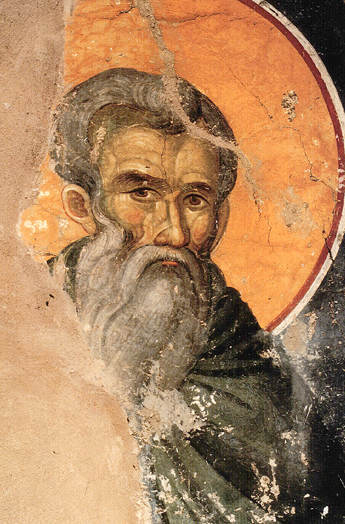 Sfântul Cuvios Teoctist