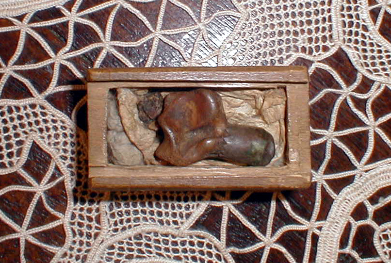 Moaștele Sfântului Mare Mucenic Mercurie