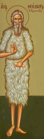 Sfântul Cuvios Teodor Trihina