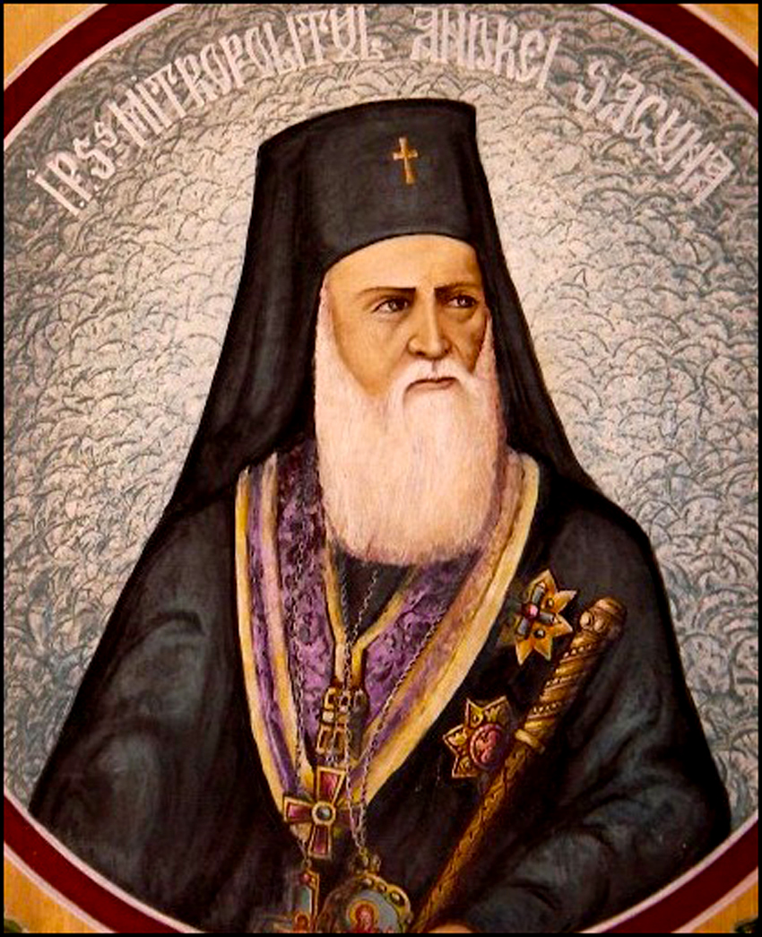 Sfântul Ierarh Andrei Șaguna, Mitropolitul Transilvaniei