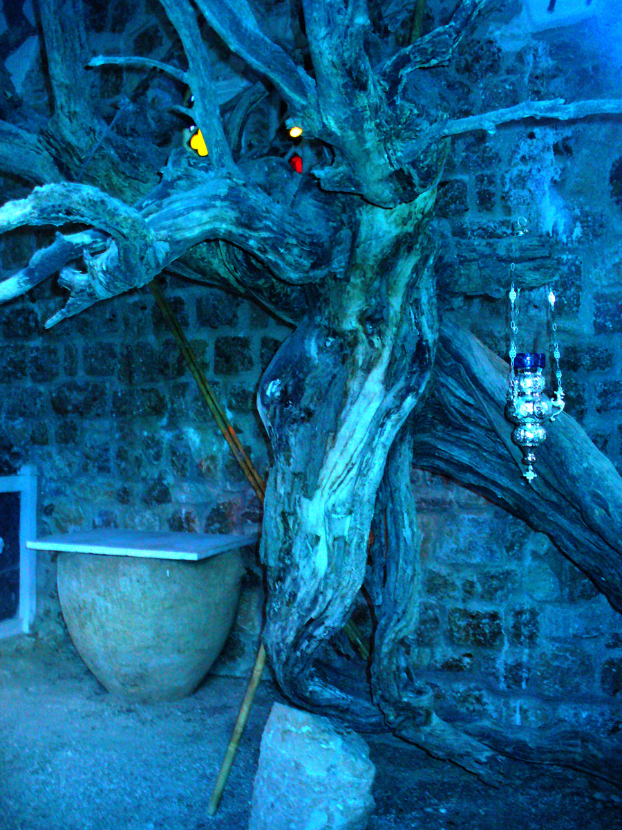 Copacul de care a fost spânzurat Sfântul Efrem cel Nou