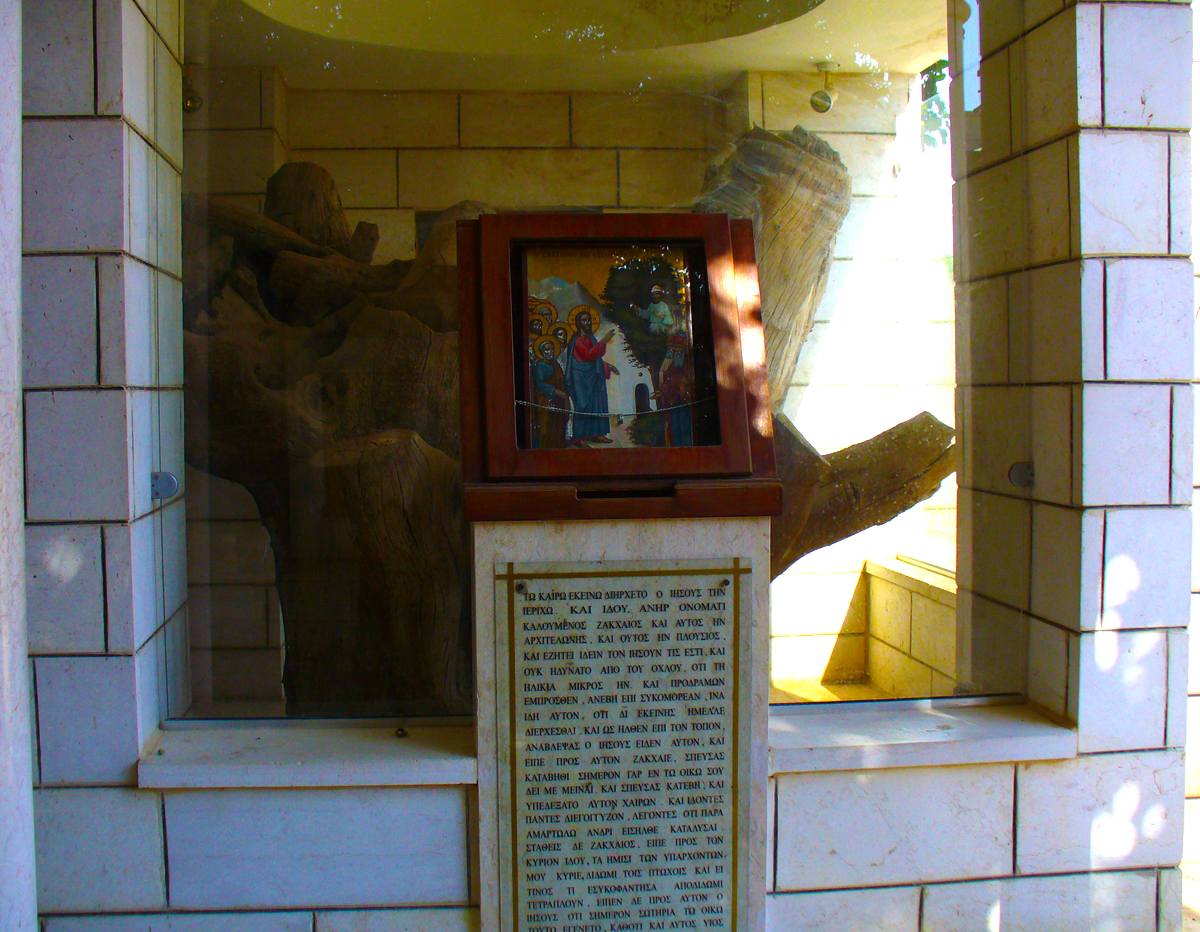 Dudul lui Zaheu (copacul în care s-a urcat Zaheu vameşul, pentru a-L vedea pe Mântuitorul)