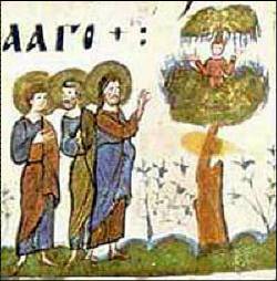 Pilda lui Zaheu Vameșul