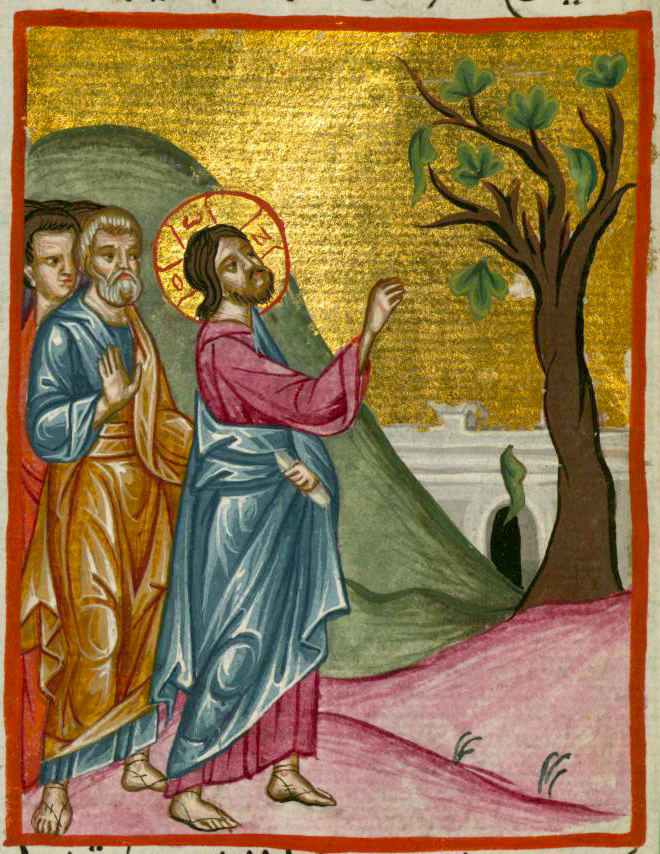 Sfânta și Marea zi de Luni - Smochinul neroditor