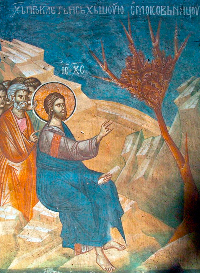 Sfânta și Marea zi Luni - Smochinul neroditor