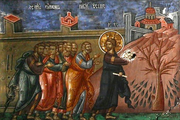 Sfânta și Marea zi de Luni - Smochinul neroditor