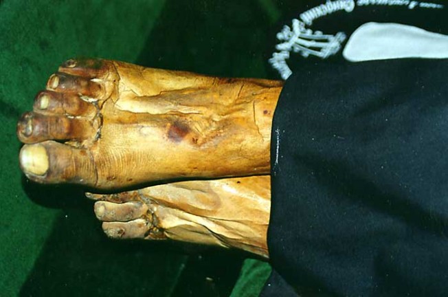 Moaștele Sfântului Alexandru din Svir