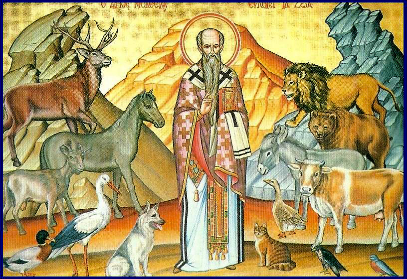 Sfântul Ierarh Modest, Patriarhul Ierusalimului