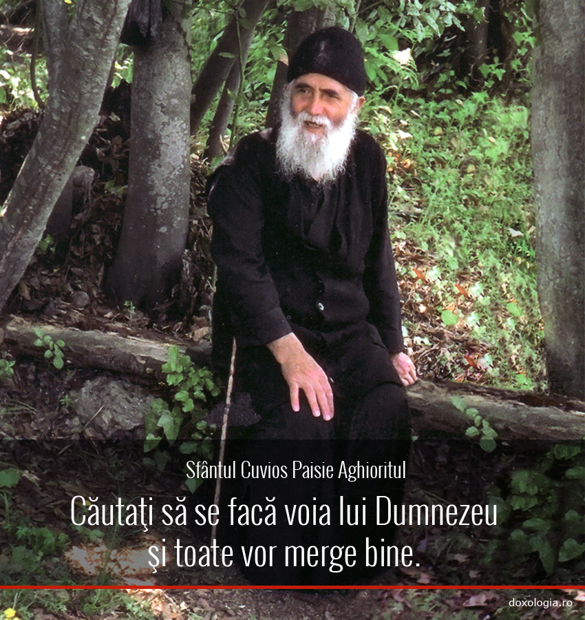 Căutaţi să se facă voia lui Dumnezeu şi toate vor merge bine