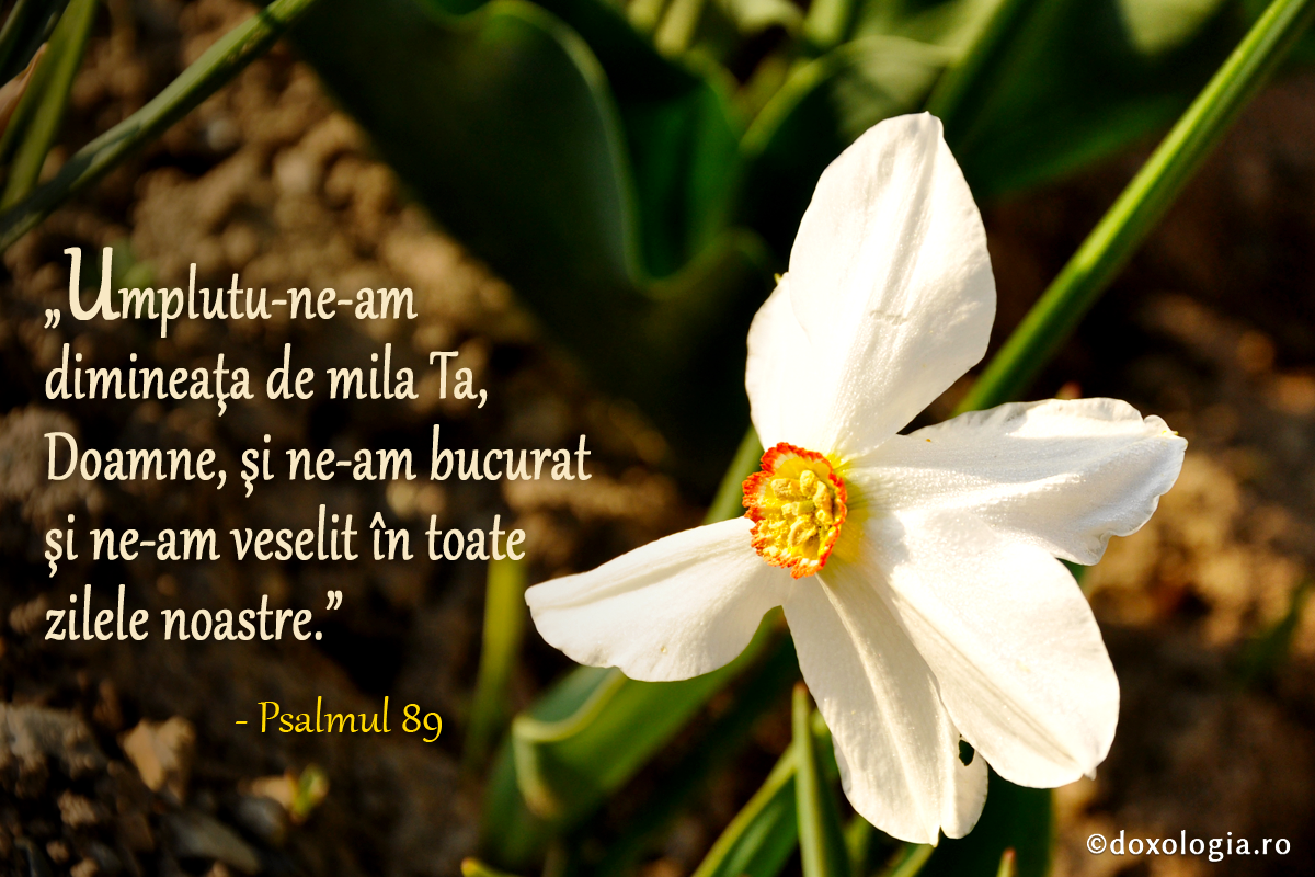 Umplutu-ne-am dimineaţa de mila Ta, Doamne!