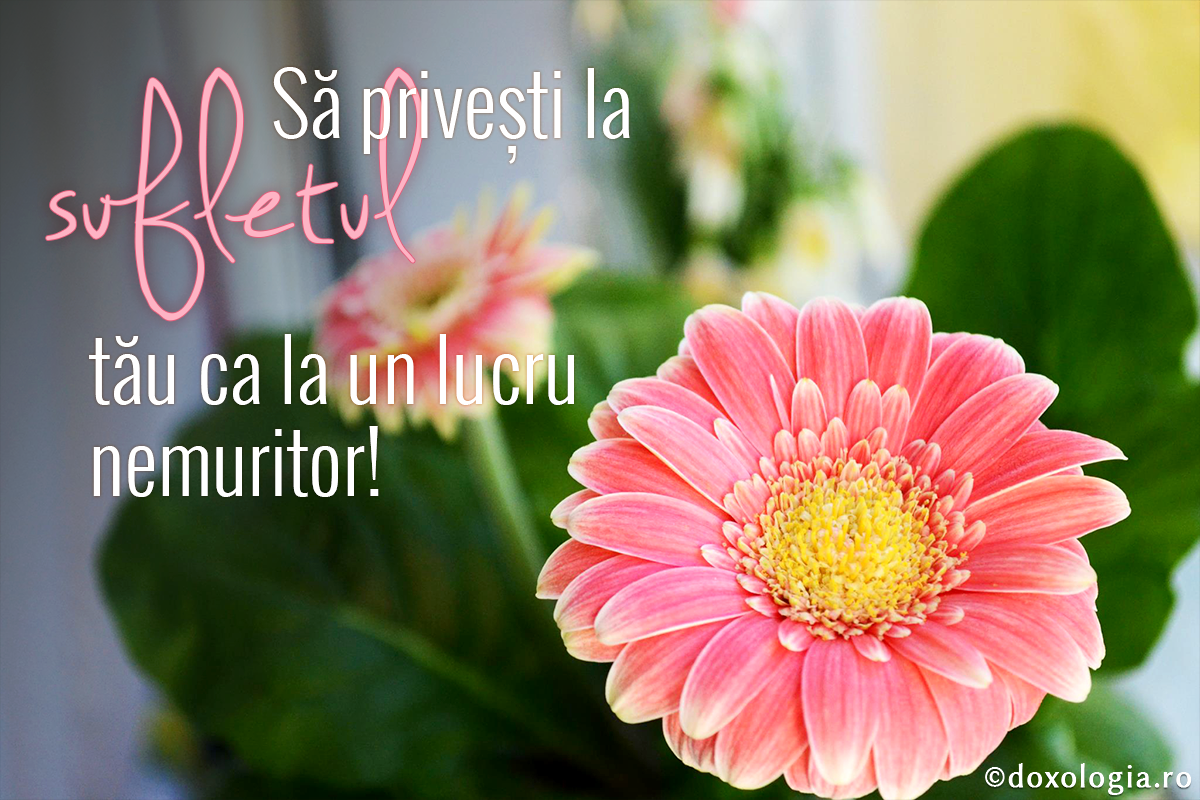 Să privești la sufletul tău ca la un lucru nemuritor!