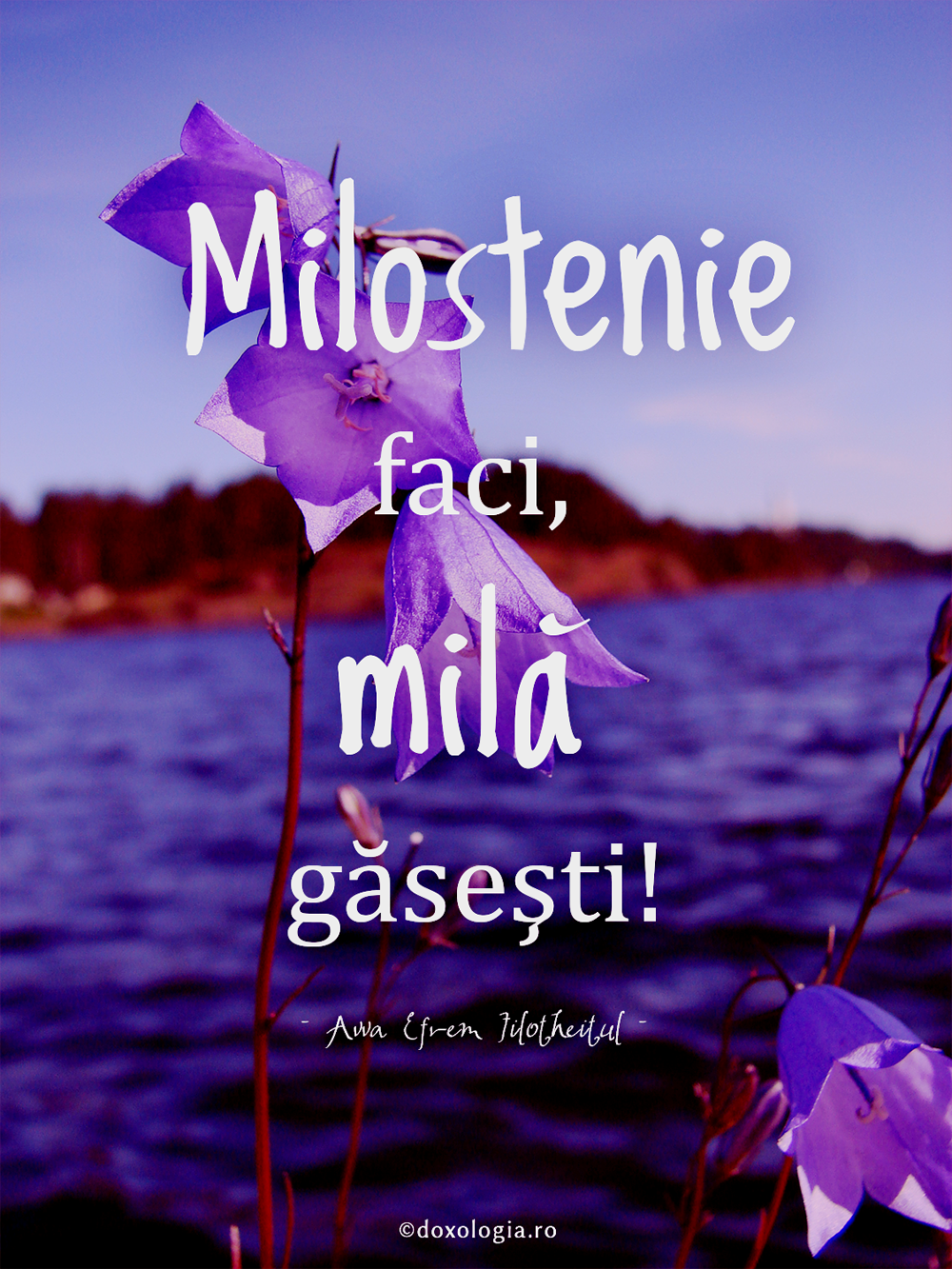 Milostenie faci, milă găsești