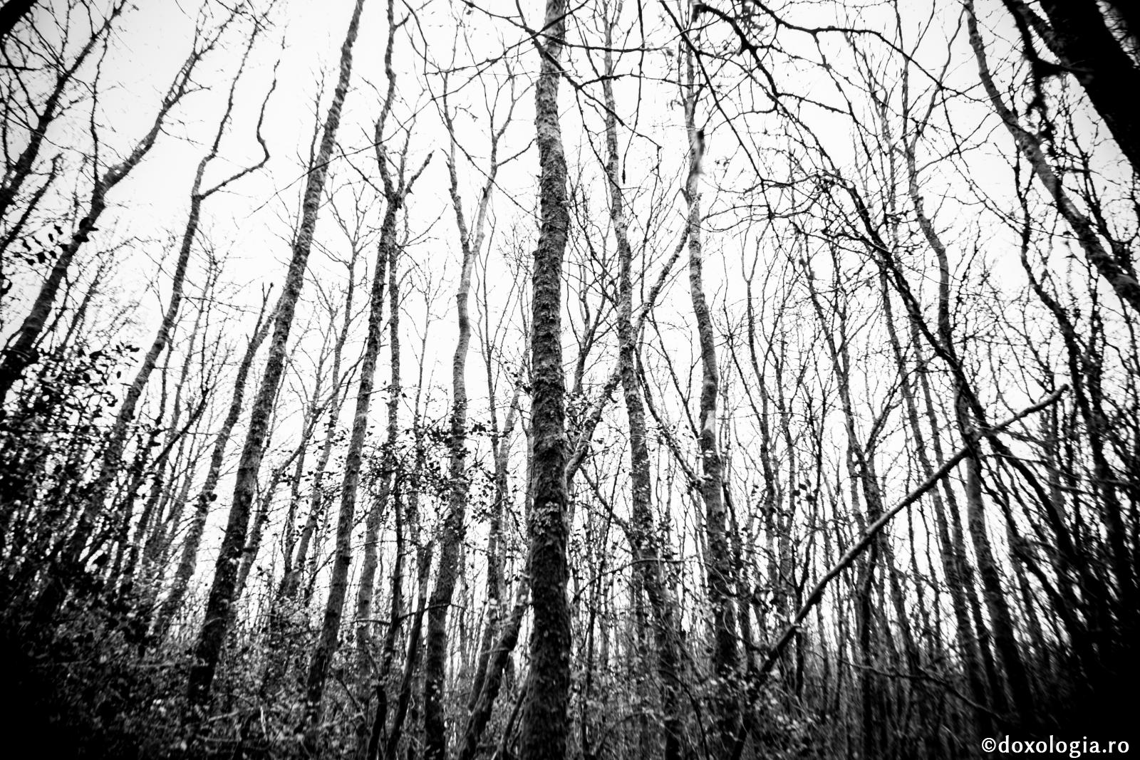 Cum se combat vrăjitoria și descântecele?