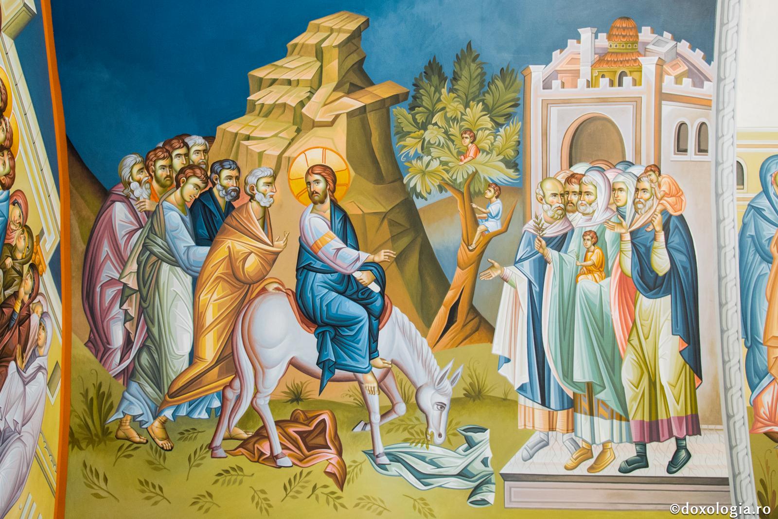 Mântuitorul Iisus Hristos a intrat în Ierusalim pe mânzul asinei sau pe asină?