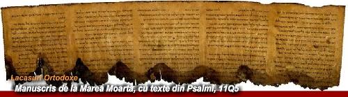 Manuscrisele de la Marea Moartă în atenția oamenilor de știință și a savanților - noi metode de sortare