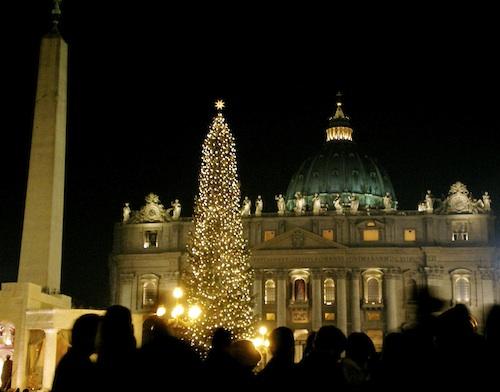 Bradul de Crăciun de la Vatican vine din Ukraina