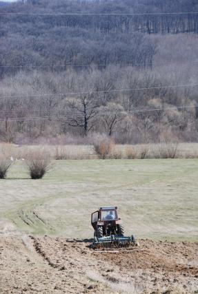 Fermierii pot depune cererile pentru ajutorul pe suprafaţă