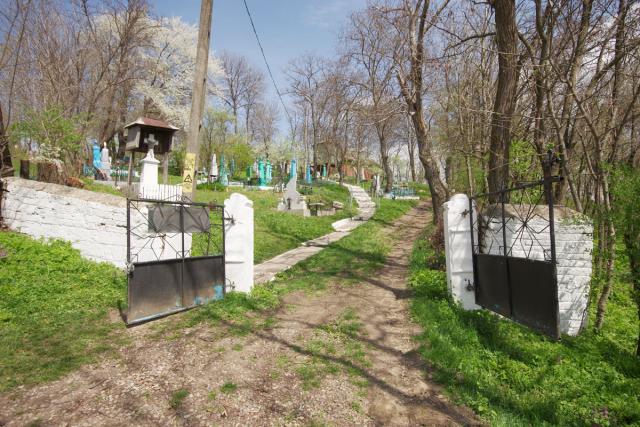 Piatră şi lemn, împletite în destinul ctitoriei domneşti de la Şcheia