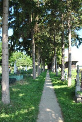 „Dragomirna“ în lemn de la Drăguşeni
