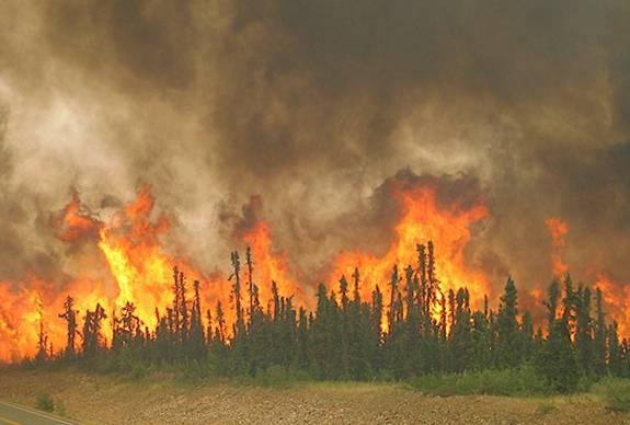 Bulgaria: incendiile din jurul Mănăstirii Sfântul Ioan de Rila sunt sub control