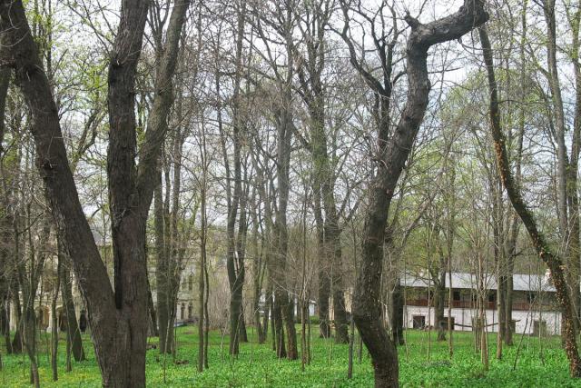 Mănăstirea Miclăuşeni, un loc de tihnă în mijlocul naturii