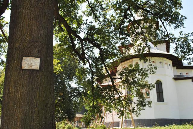 Biserica dantelelor de lemn