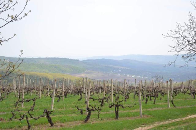 Moldoveni, deci români