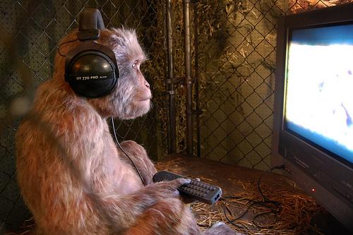 Cine e maimuţa din faţa televizorului?