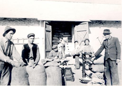 “Foametea organizată”, un macabru scenariu al lui Stalin în Basarabia