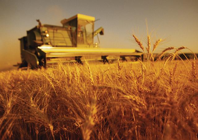 Termenul de depunere a cererilor pentru ajutorul acordat operatorilor din agricultura ecologică a fost prelungit până la 29 noiembrie