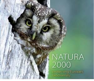 Natura 2000: Program național pentru monitorizarea păsărilor protejate