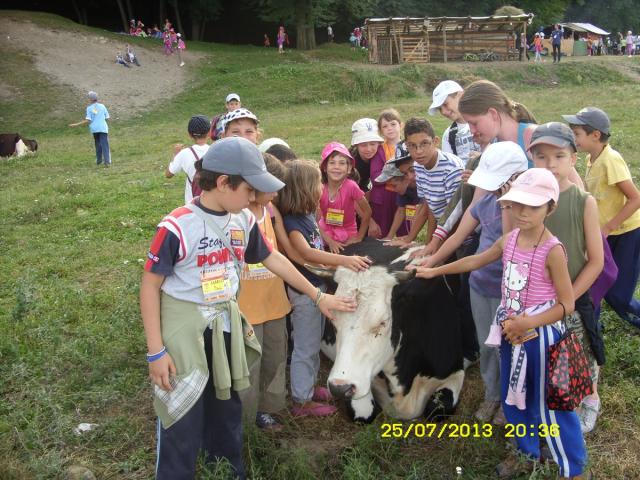 Proiectul misionar „Tabăra din pridvorul satului” pentru copiii săraci